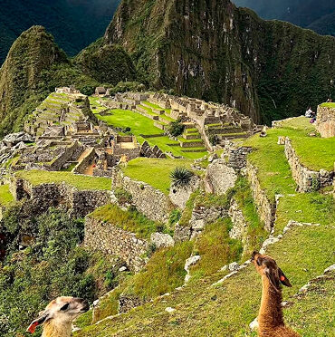 Machu Picchu Full Day